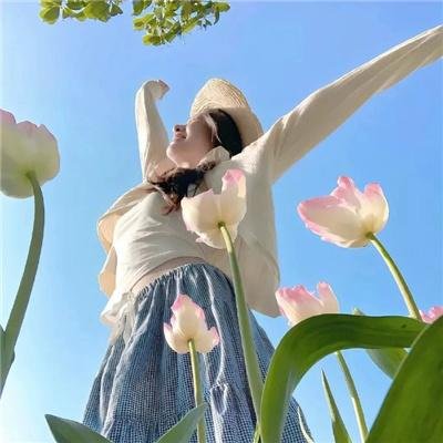 螺旋素描