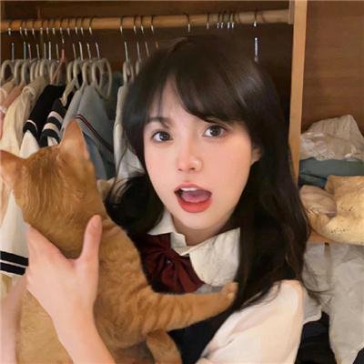 骆驼不会独自哭泣